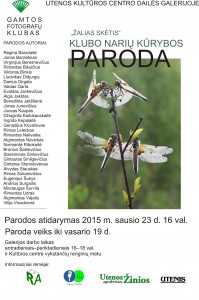 Z SK. Paroda